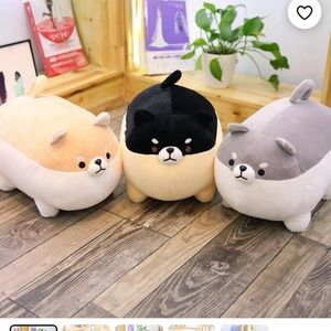 Meet your Posher, Abby